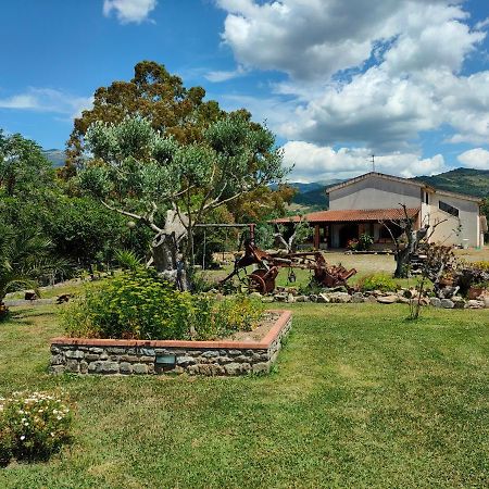 Azienda Agrituristica Verdevalle Cicerale Exterior foto